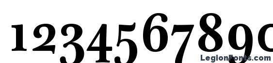 Baskerville Ten Pro Bold Font, Number Fonts