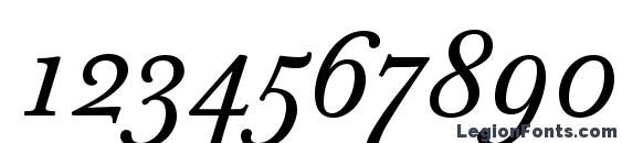 Baskerville Ten Pro Italic Font, Number Fonts