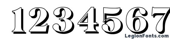 BaskervilleShadow Heavy Regular Font, Number Fonts