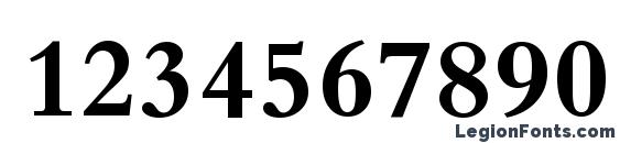 Bembo Bold Font, Number Fonts