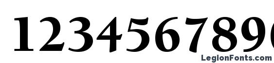 BerkeleyStd Black Font, Number Fonts
