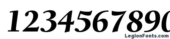 BerkeleyStd BlackItalic Font, Number Fonts