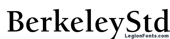 BerkeleyStd Bold font, free BerkeleyStd Bold font, preview BerkeleyStd Bold font