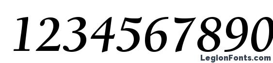 BerkeleyStd BoldItalic Font, Number Fonts