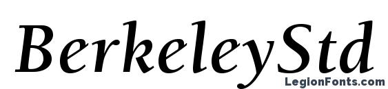 BerkeleyStd BoldItalic Font