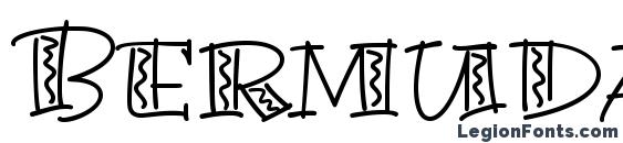 BermudaLPStd Squiggle font, free BermudaLPStd Squiggle font, preview BermudaLPStd Squiggle font