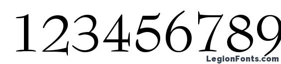 BernhardModern Regular Font, Number Fonts