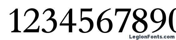 BernsteinSerial Regular Font, Number Fonts