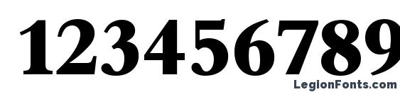 BernsteinSerial Xbold Regular Font, Number Fonts