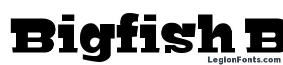 Bigfish Black font, free Bigfish Black font, preview Bigfish Black font