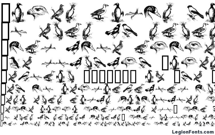 specimens Birds a font, sample Birds a font, an example of writing Birds a font, review Birds a font, preview Birds a font, Birds a font