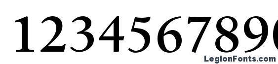 Birka SemiBold Font, Number Fonts