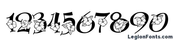 Blossom Font, Number Fonts