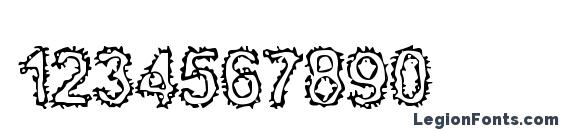 BN Kuktus Font, Number Fonts