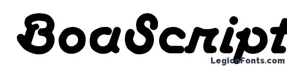 BoaScript Regular font, free BoaScript Regular font, preview BoaScript Regular font
