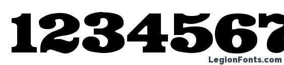 Bodega Display SSi Font, Number Fonts