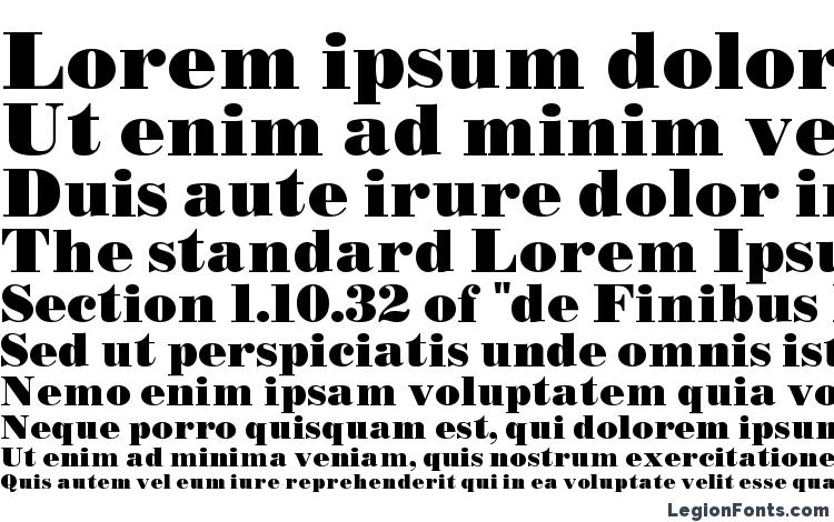 specimens BODIDLY Bold font, sample BODIDLY Bold font, an example of writing BODIDLY Bold font, review BODIDLY Bold font, preview BODIDLY Bold font, BODIDLY Bold font