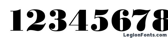 Bodoni Black Regular Font, Number Fonts