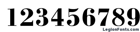 Bodoni Bold Cyrillic Font, Number Fonts