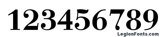 Bodoni Bold Font, Number Fonts