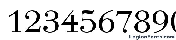 Bodoni Regular Font, Number Fonts