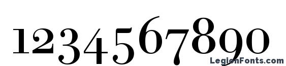 BodoniAntSCTReg Font, Number Fonts