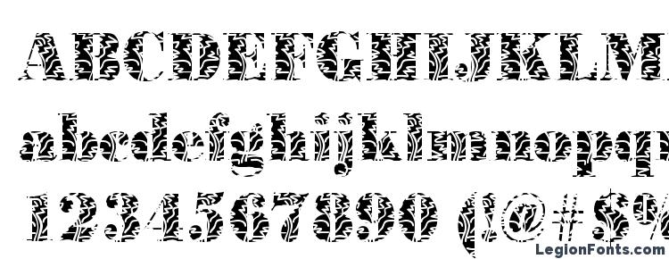 glyphs BodoniPlant Regular font, сharacters BodoniPlant Regular font, symbols BodoniPlant Regular font, character map BodoniPlant Regular font, preview BodoniPlant Regular font, abc BodoniPlant Regular font, BodoniPlant Regular font