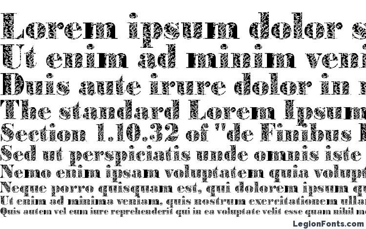 specimens BodoniPlant2 Regular font, sample BodoniPlant2 Regular font, an example of writing BodoniPlant2 Regular font, review BodoniPlant2 Regular font, preview BodoniPlant2 Regular font, BodoniPlant2 Regular font