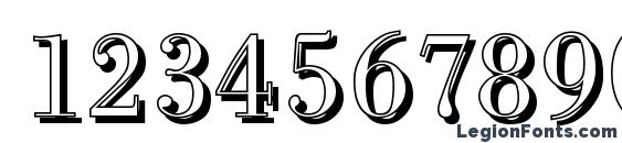 BodoniShadow Light Regular Font, Number Fonts