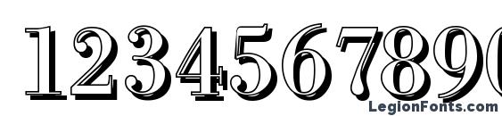 BodoniShadow Regular Font, Number Fonts