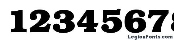 Book Bold Regular Font, Number Fonts