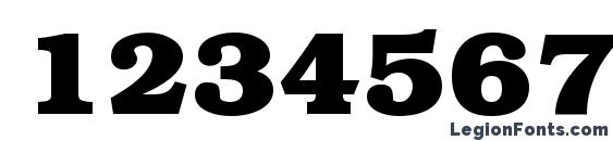 BookmanHeavy Regular Font, Number Fonts