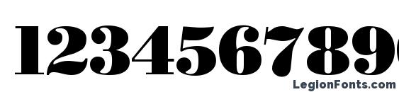 BostonBlack Regular Font, Number Fonts