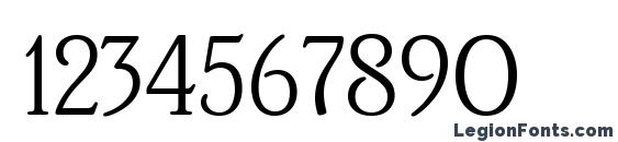 Brighton Light Plain Font, Number Fonts
