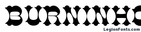 шрифт Burninhood Thin, бесплатный шрифт Burninhood Thin, предварительный просмотр шрифта Burninhood Thin