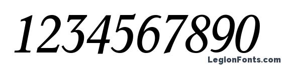 C791 Roman Italic Font, Number Fonts