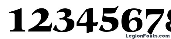 C792 Roman Bold Font, Number Fonts