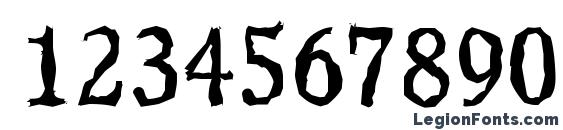 CalgaryRandom Regular Font, Number Fonts