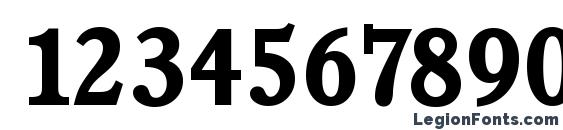 CalgarySerial Bold Font, Number Fonts