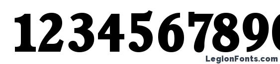 CalgarySerial Xbold Regular Font, Number Fonts