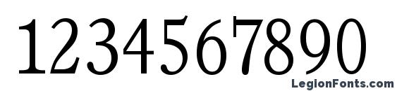 CalgarySerial Xlight Regular Font, Number Fonts