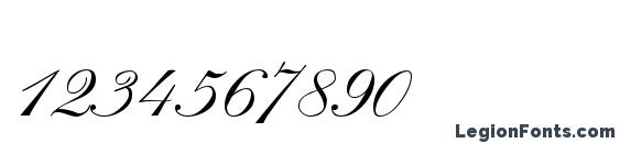 Calligraphia One Font, Number Fonts