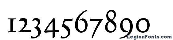 Calligraphic 421 BT Font, Number Fonts