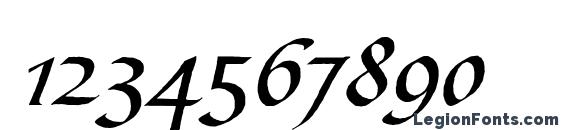 CalligraphScript Regular Font, Number Fonts
