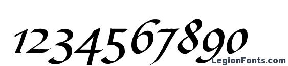 CalligraphScript Swash Regular Font, Number Fonts