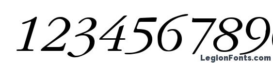 Calumet Font, Number Fonts