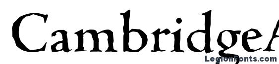 Шрифт CambridgeAntique Medium Regular, Шрифты с засечками