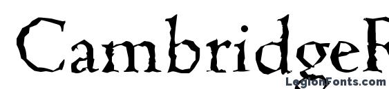 CambridgeRandom Regular Font