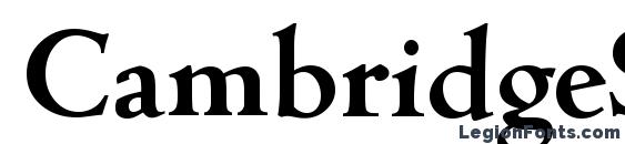 CambridgeSerial Bold font, free CambridgeSerial Bold font, preview CambridgeSerial Bold font
