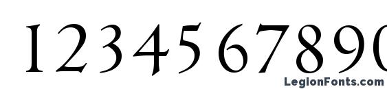 CambridgeSerial Light Regular Font, Number Fonts